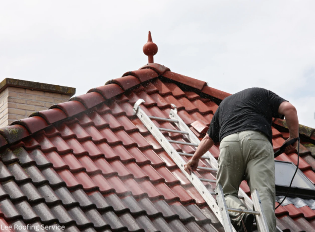 roof moss removal kent