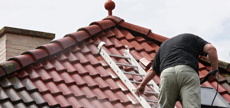 Roof Moss Removal Services in Sevenoaks
